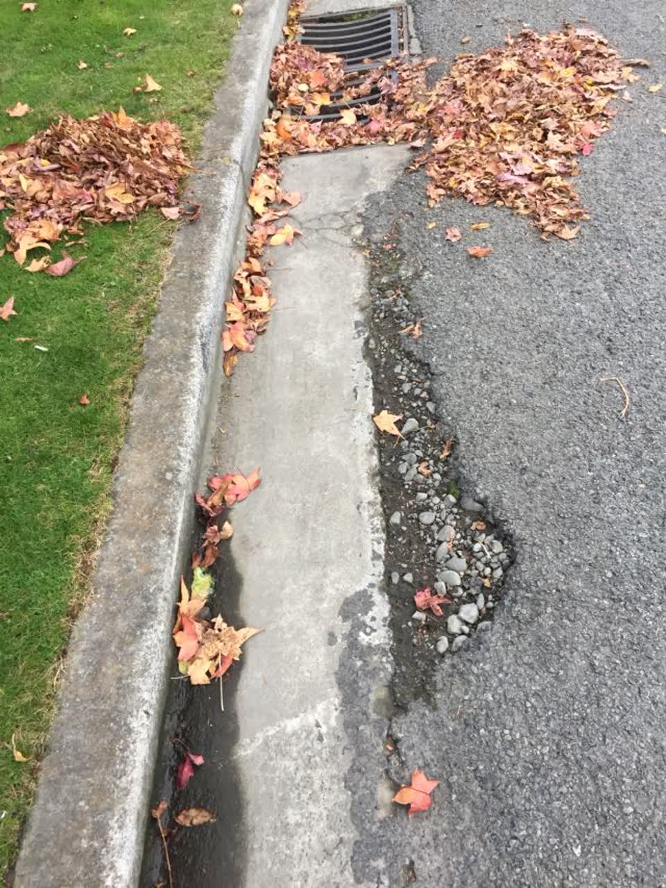 The photograph attached to this roading/streets report