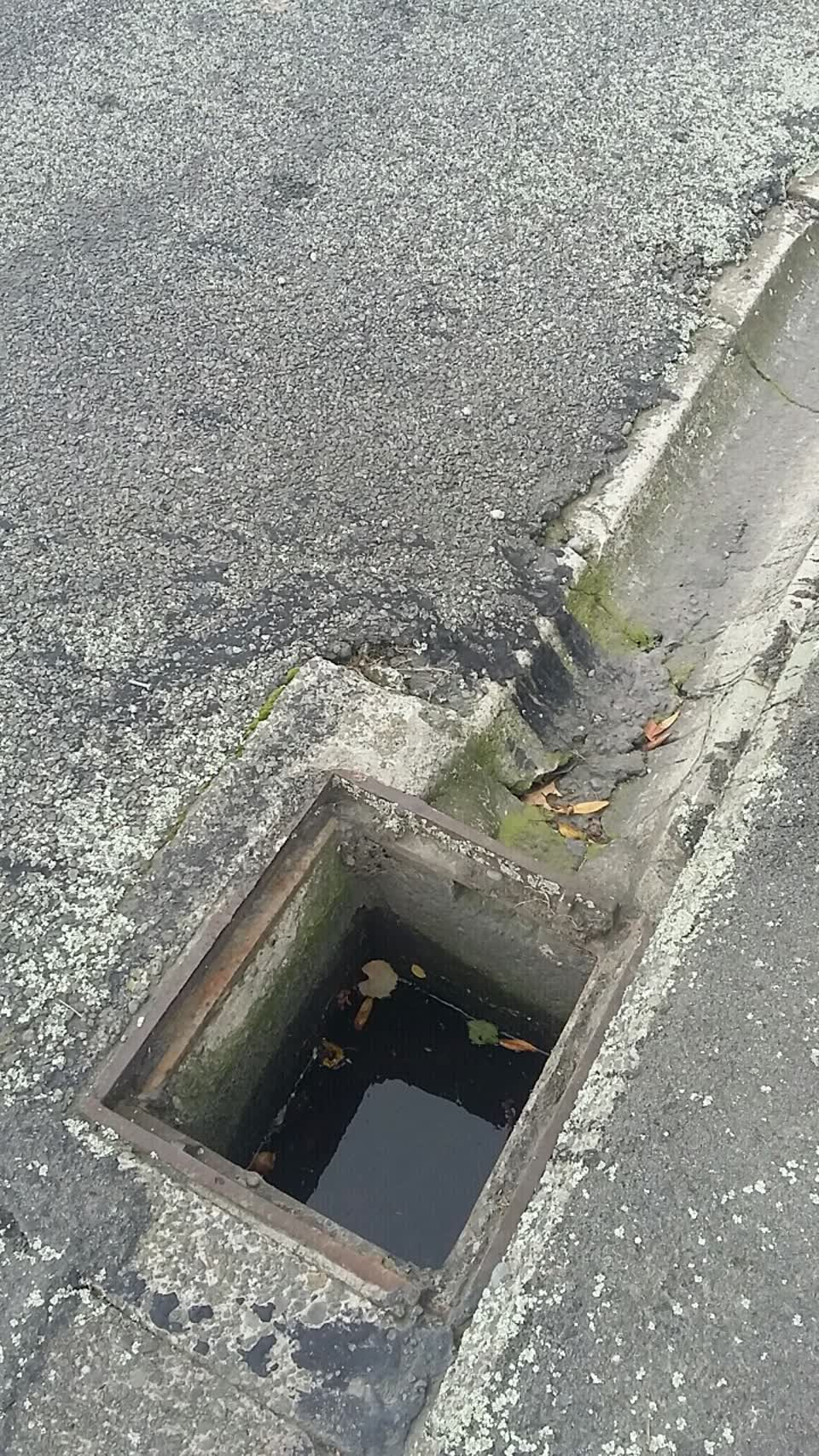 The photograph attached to this wastewater/stormwater report