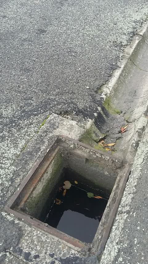 Wastewater/Stormwater, a report photo