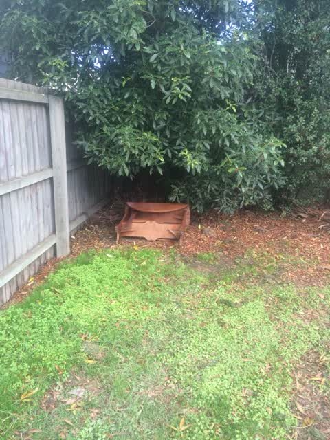 Parks, a report photo