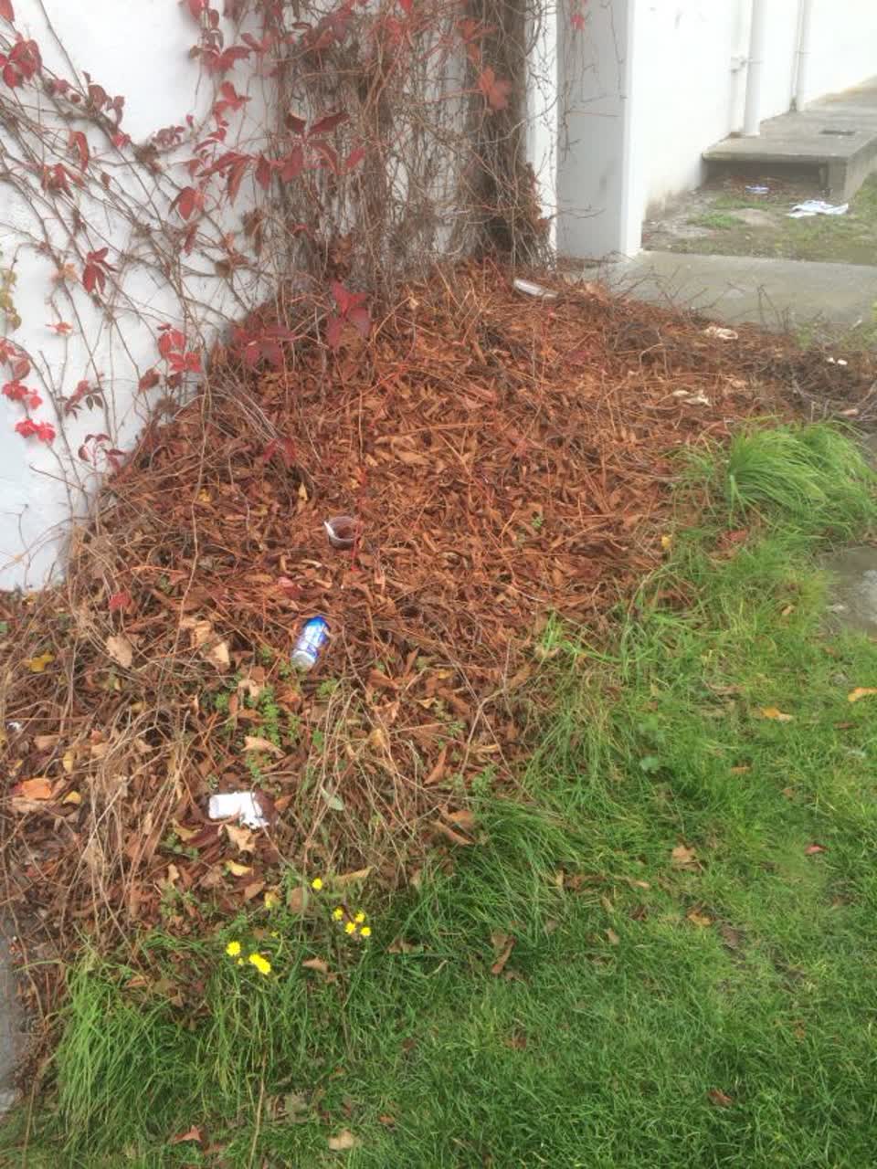 The photograph attached to this parks report