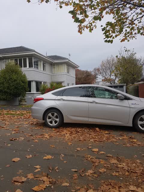 Roading/Streets, a report photo
