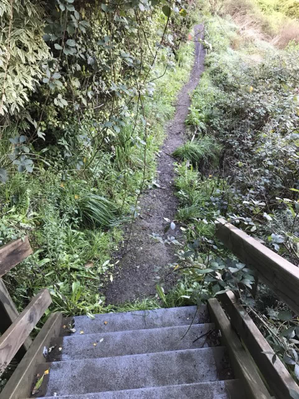 The photograph attached to this parks report