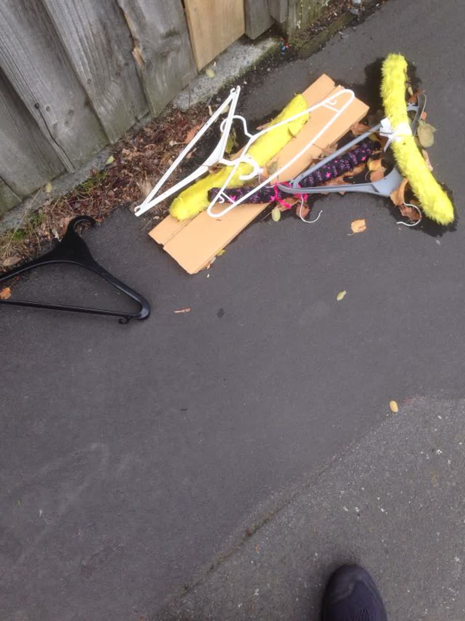The photograph attached to this rubbish/recycling report