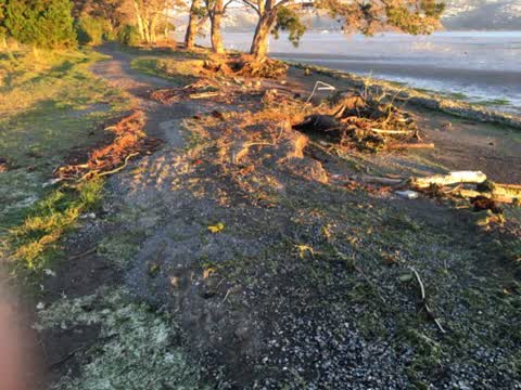 Parks, a report photo