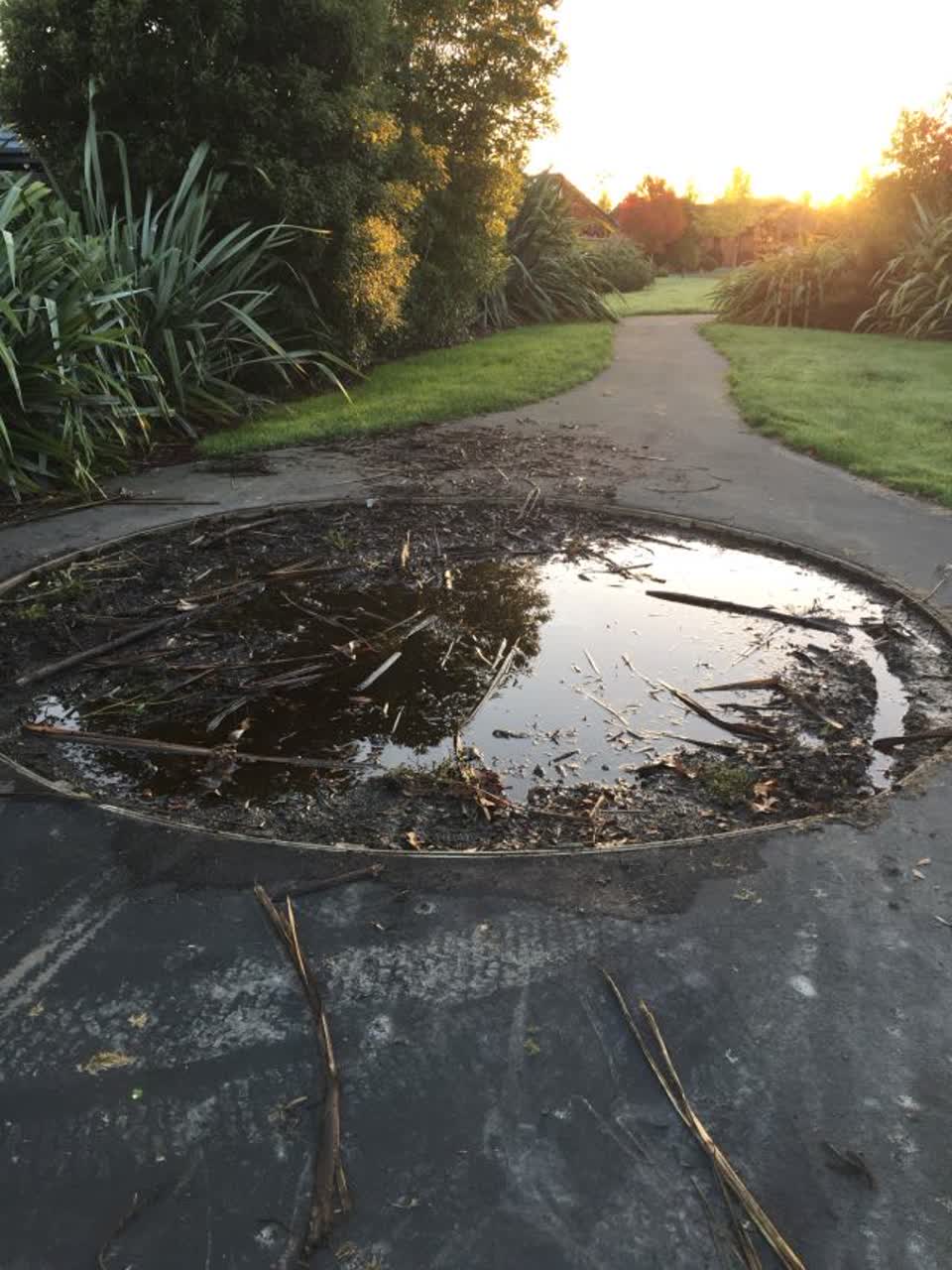 The photograph attached to this parks report