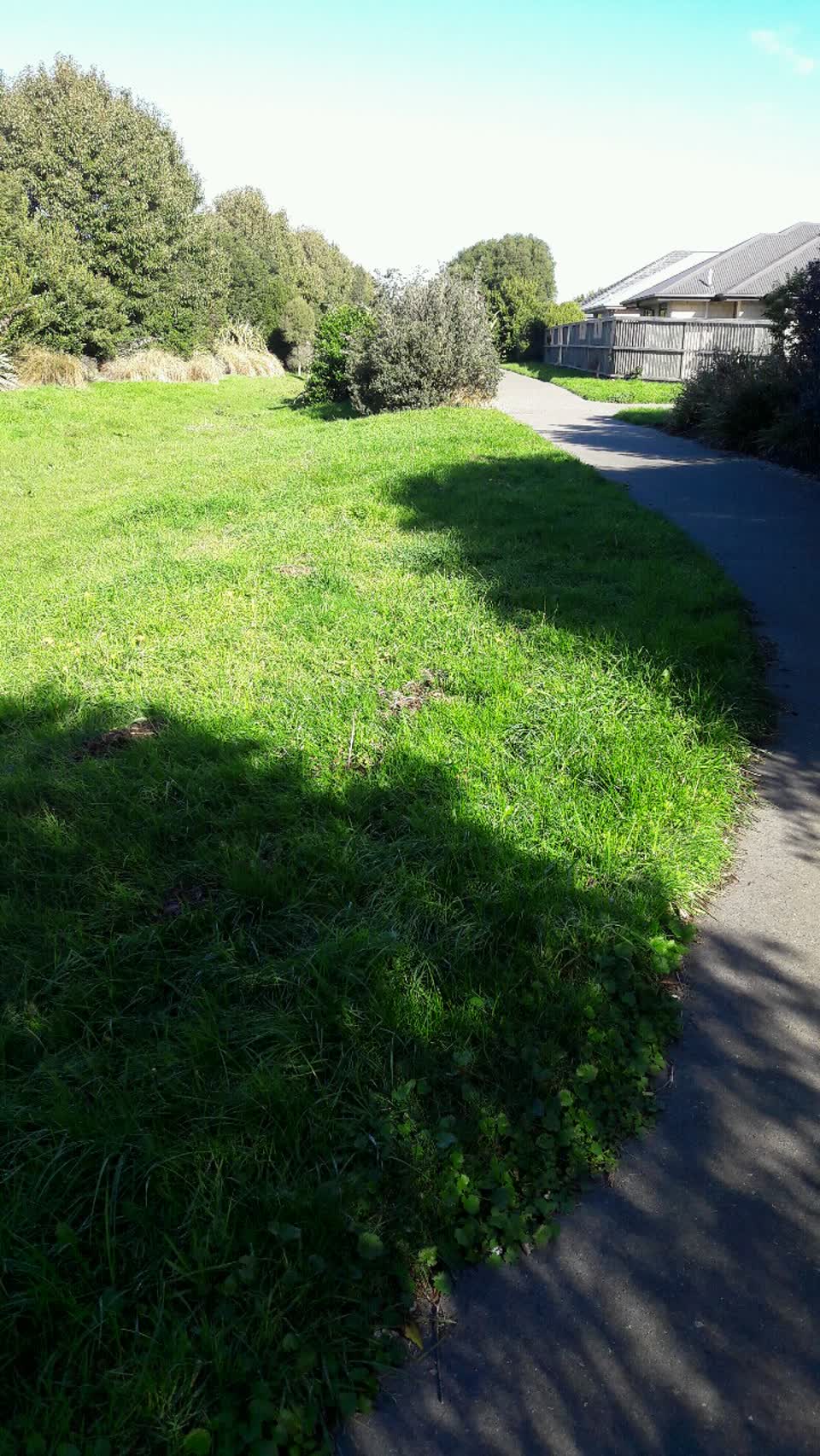 The photograph attached to this parks report