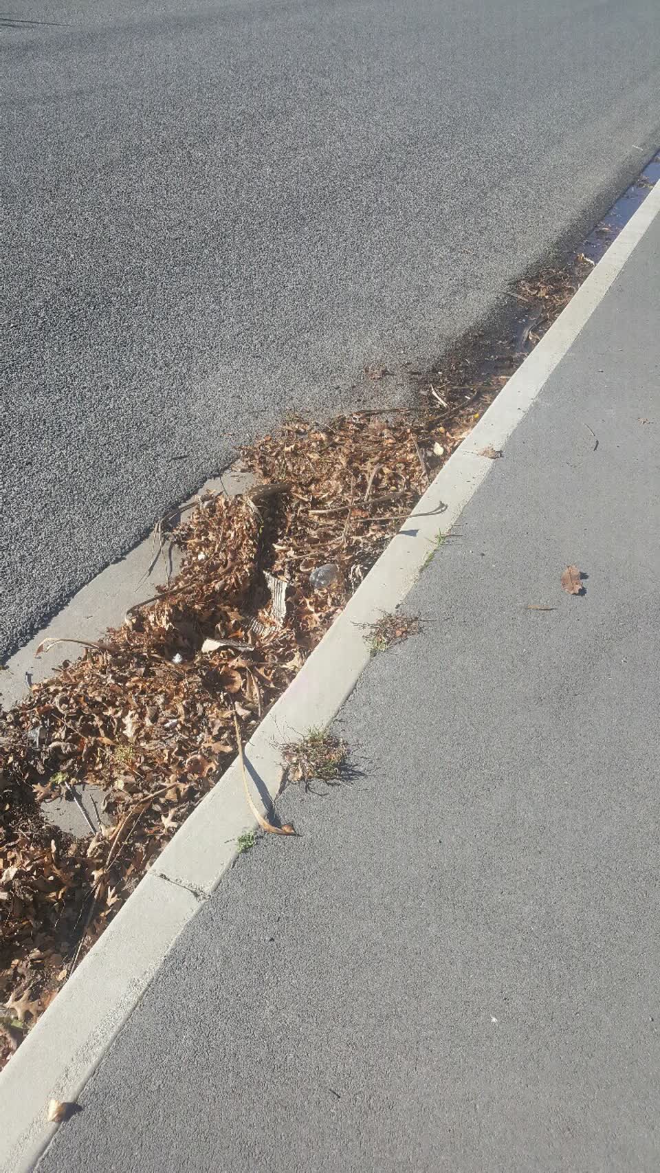 The photograph attached to this wastewater/stormwater report