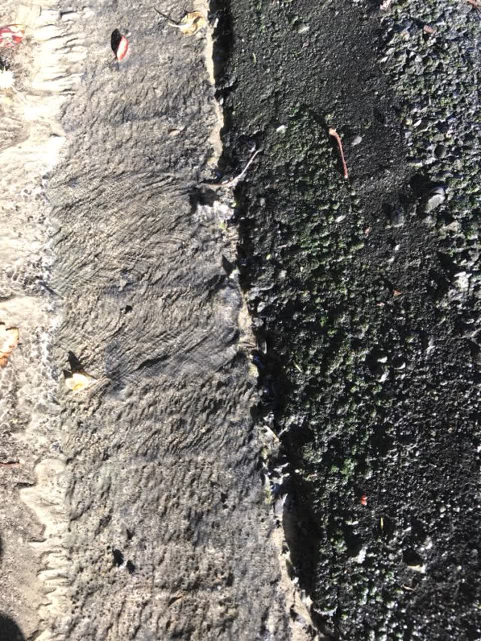 The photograph attached to this water supply report