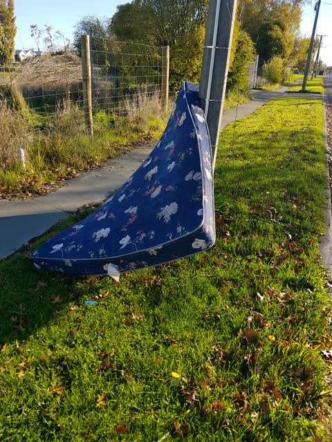 Rubbish/Recycling, a report photo