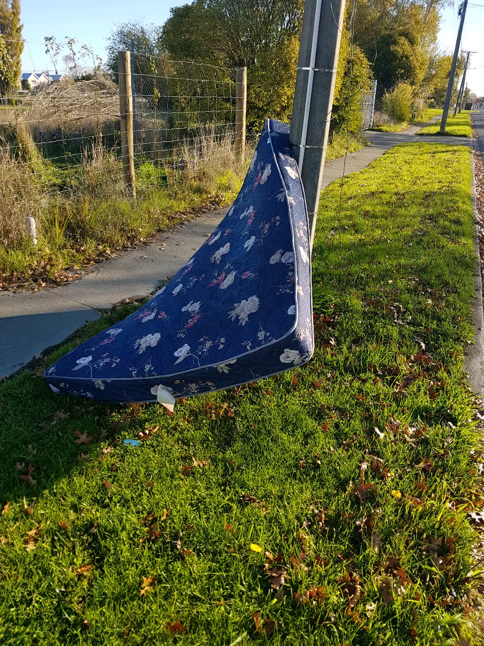 The photograph attached to this rubbish/recycling report