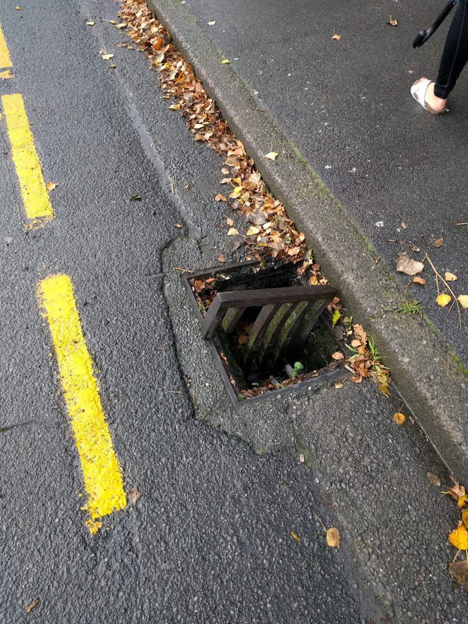 The photograph attached to this roading/streets report