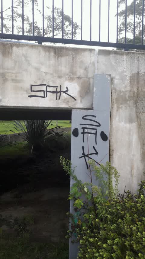 Graffiti, a report photo