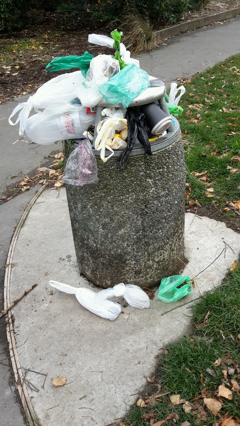 The photograph attached to this rubbish/recycling report
