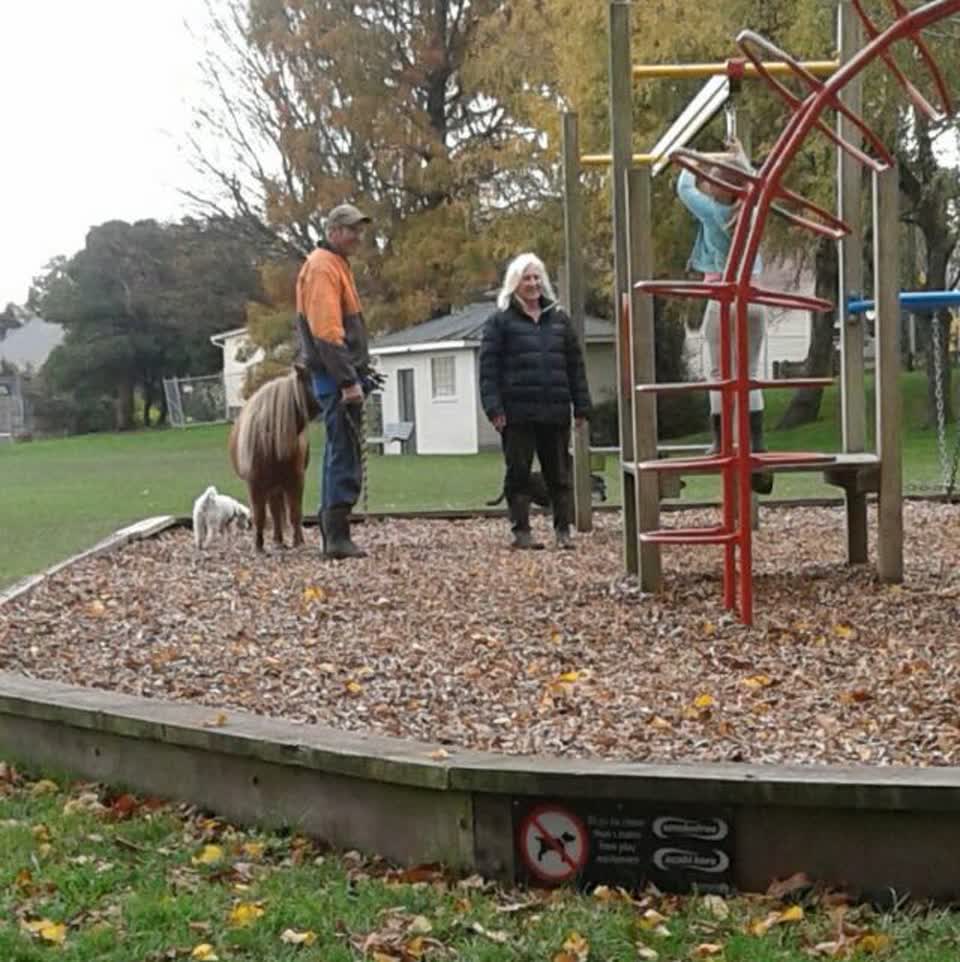The photograph attached to this parks report