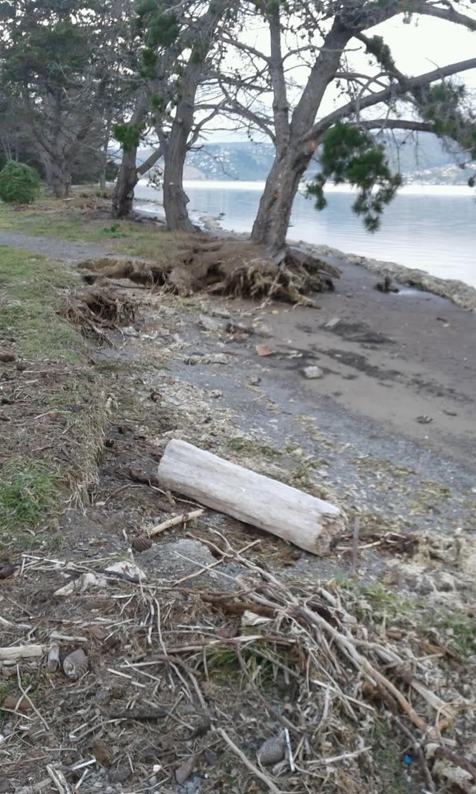 The photograph attached to this parks report