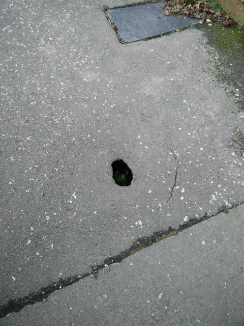 Roading/Streets, a report photo