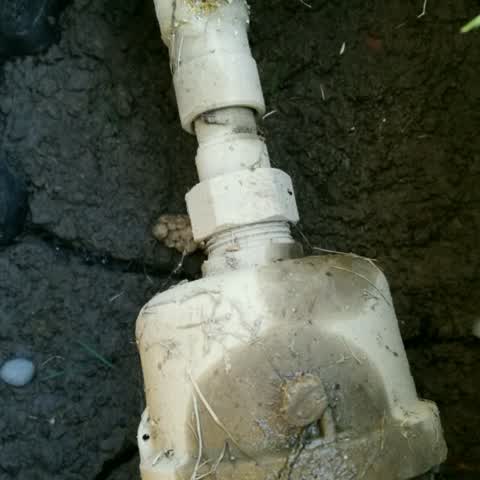 Water Supply, a report photo