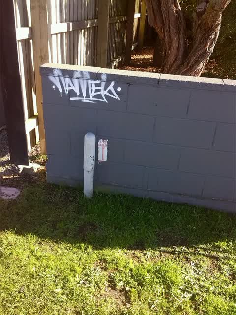 Graffiti — a report photo