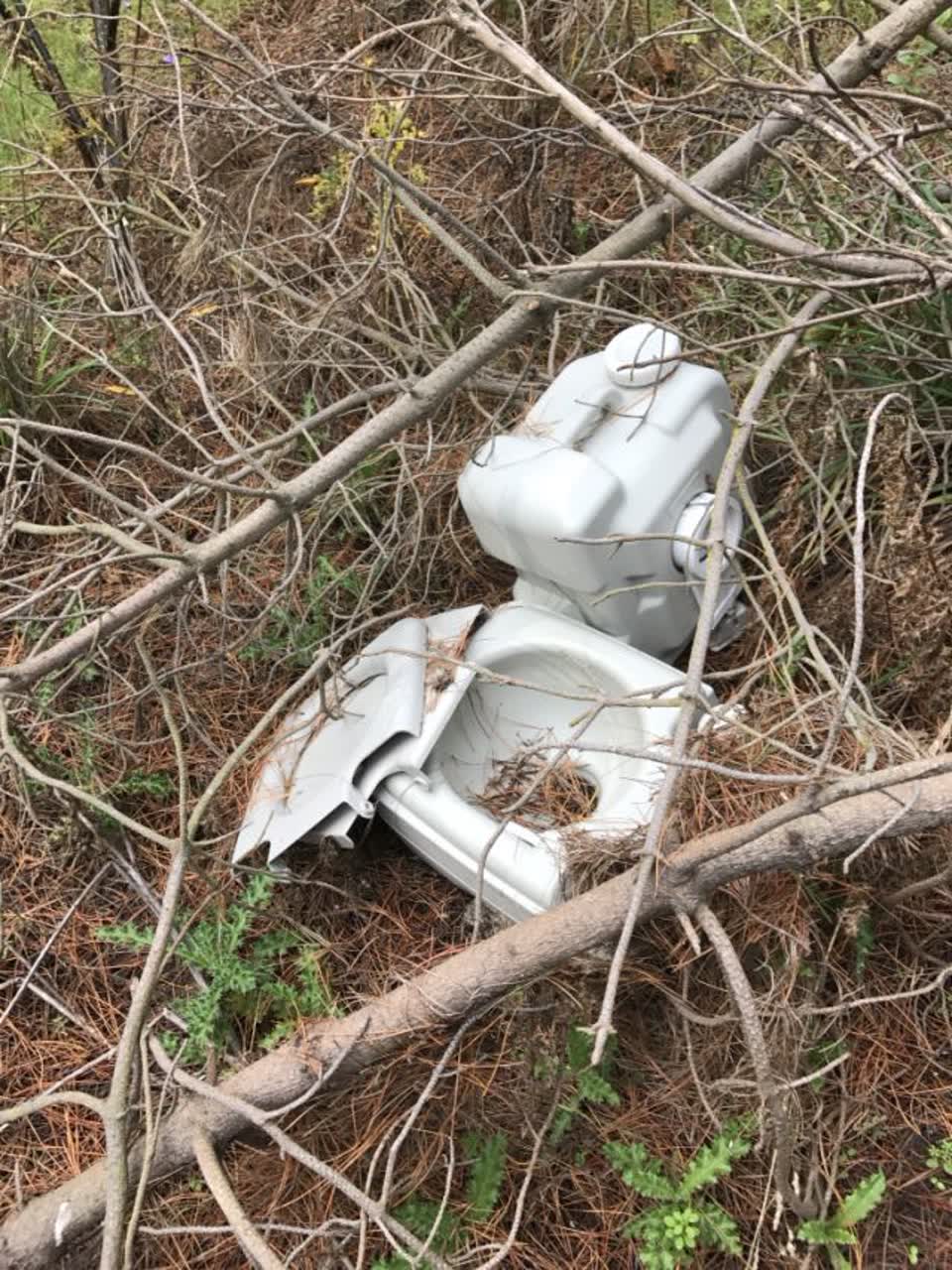 The photograph attached to this rubbish/recycling report