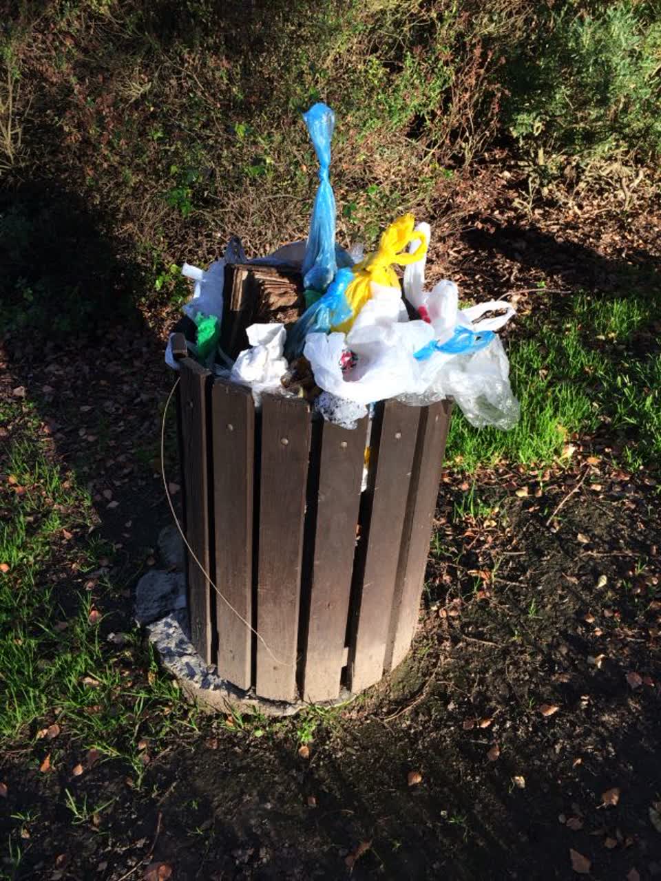 The photograph attached to this parks report