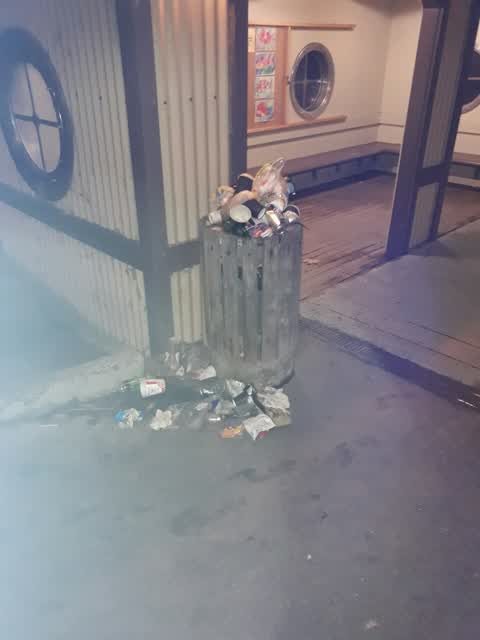 Rubbish/Recycling, a report photo