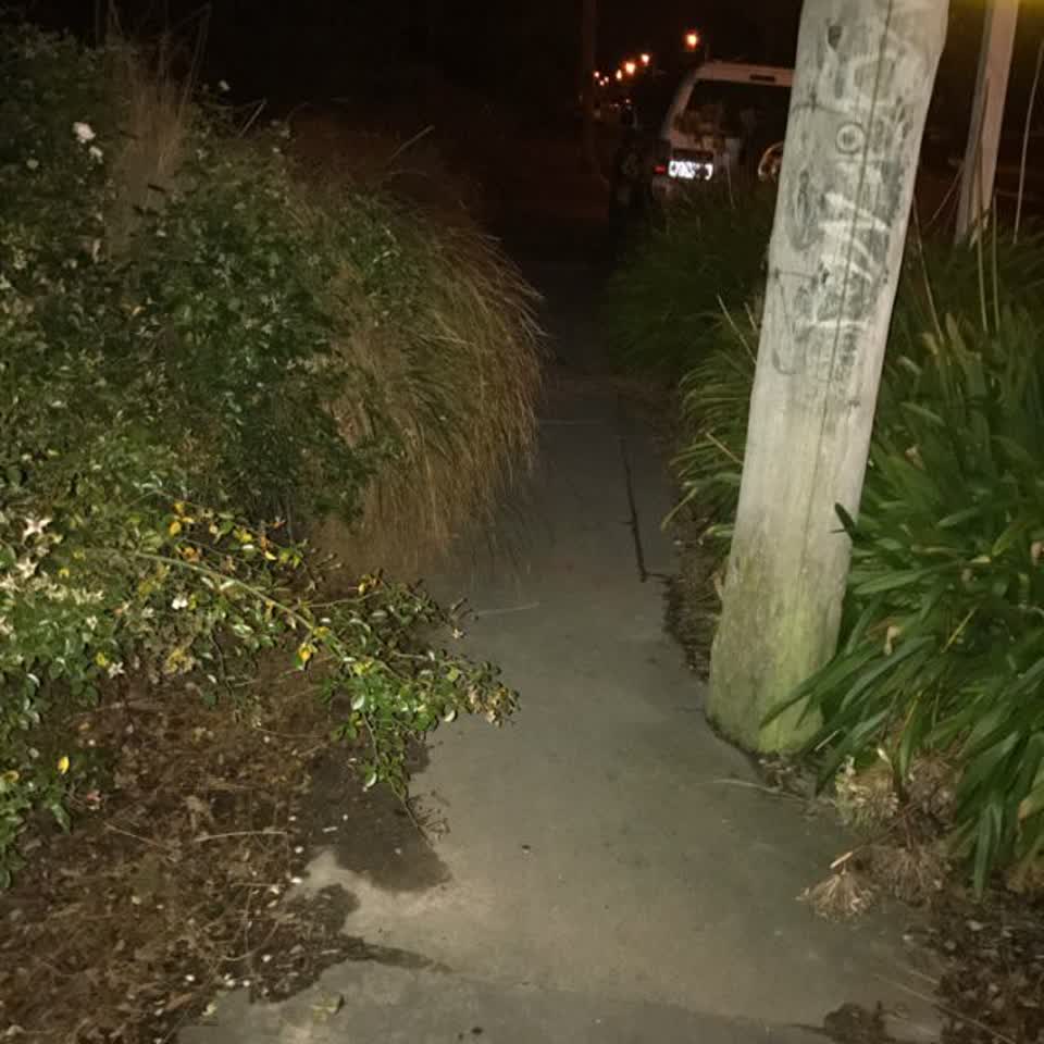 The photograph attached to this roading/streets report