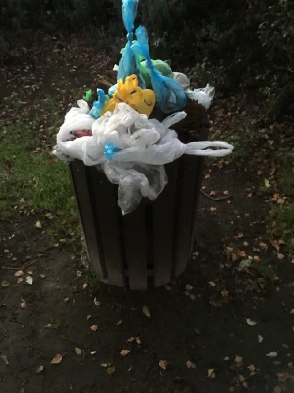 The photograph attached to this parks report