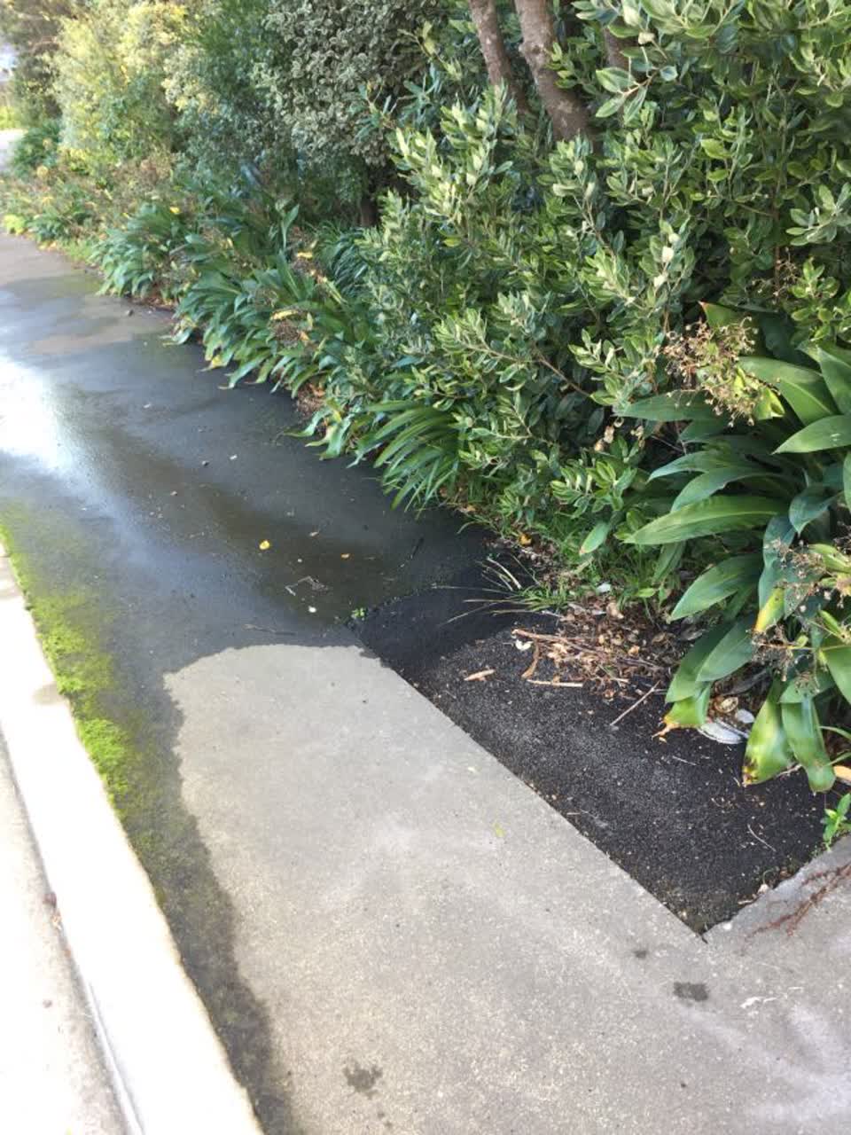 The photograph attached to this wastewater/stormwater report
