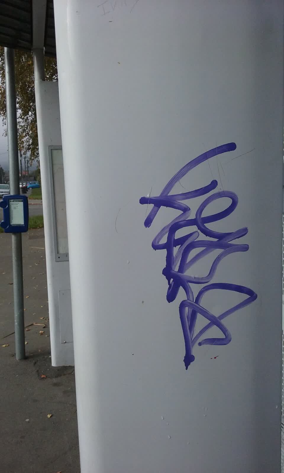 The photograph attached to this graffiti report