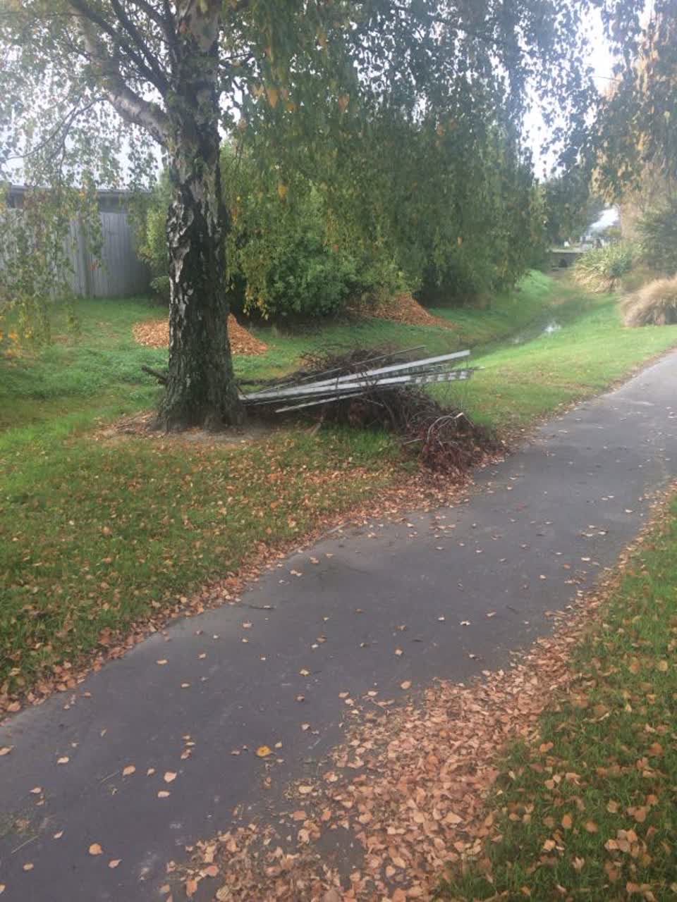 The photograph attached to this parks report