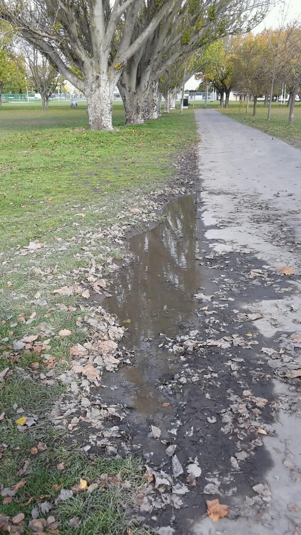 The photograph attached to this parks report