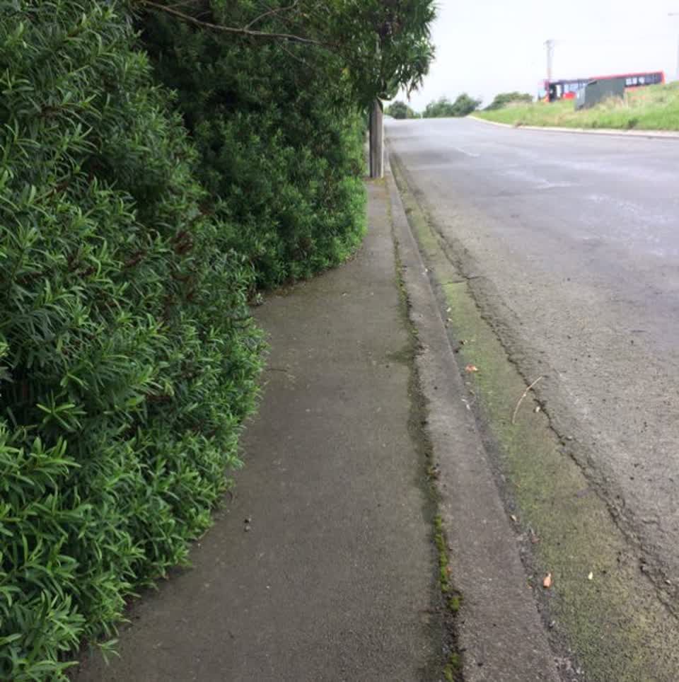 The photograph attached to this roading/streets report