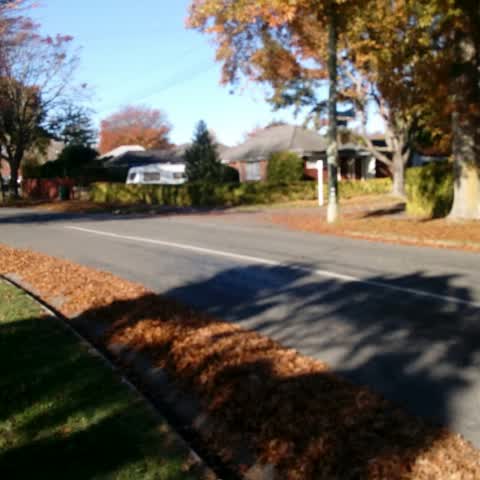 Roading/Streets — a report photo