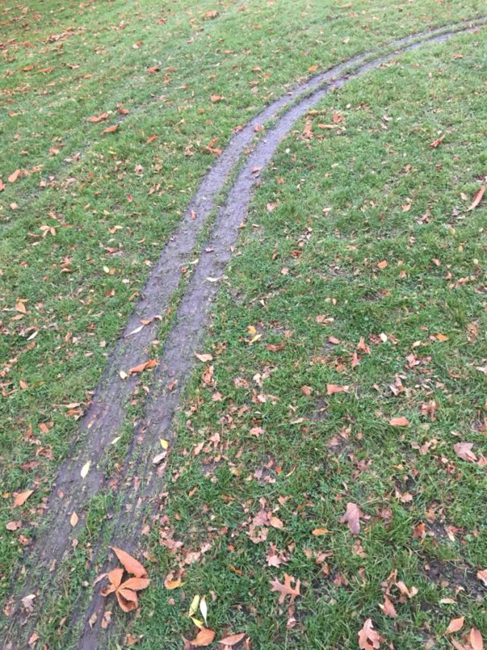The photograph attached to this parks report