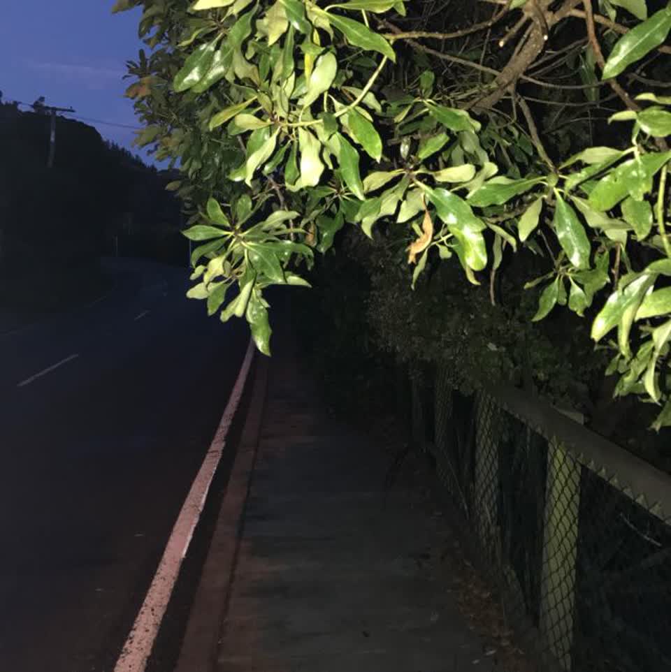 The photograph attached to this roading/streets report