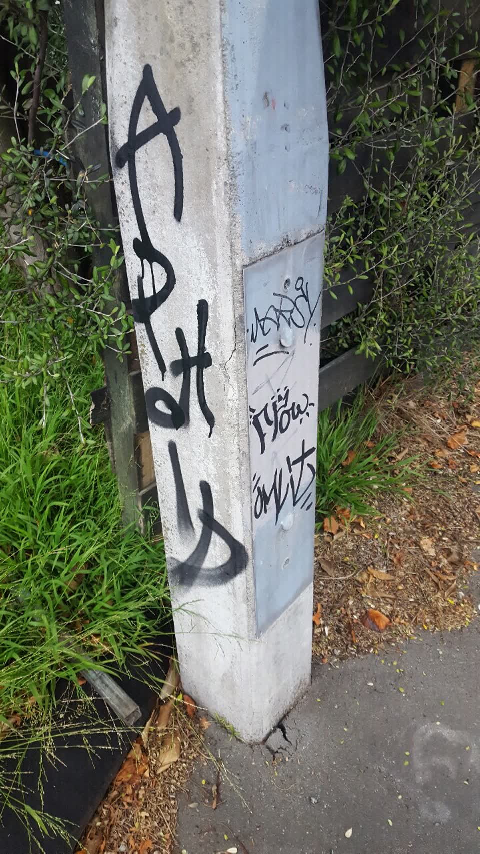 The photograph attached to this graffiti report