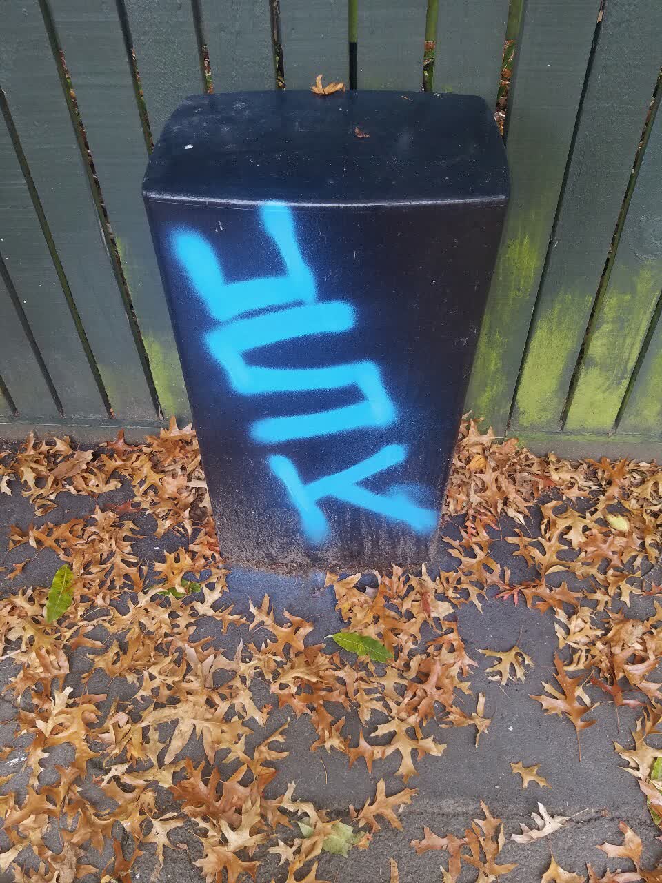 The photograph attached to this graffiti report