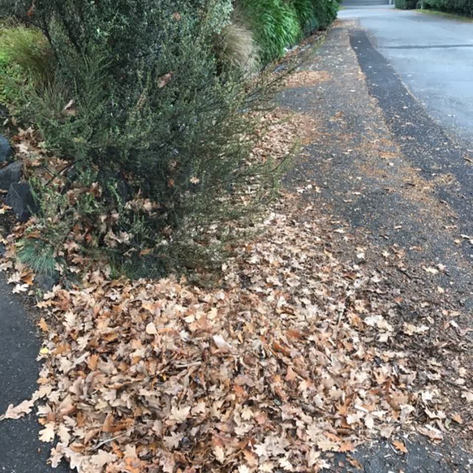 The photograph attached to this wastewater/stormwater report