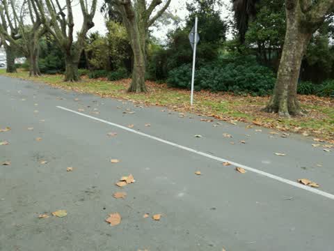 Parks — a report photo