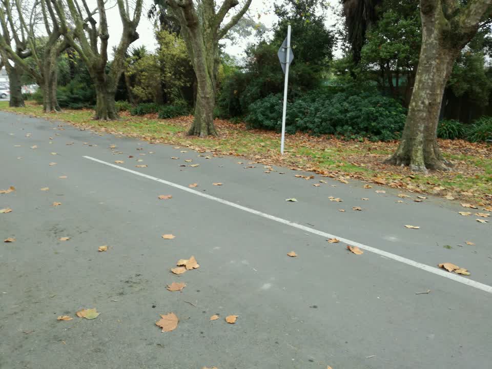 The photograph attached to this parks report