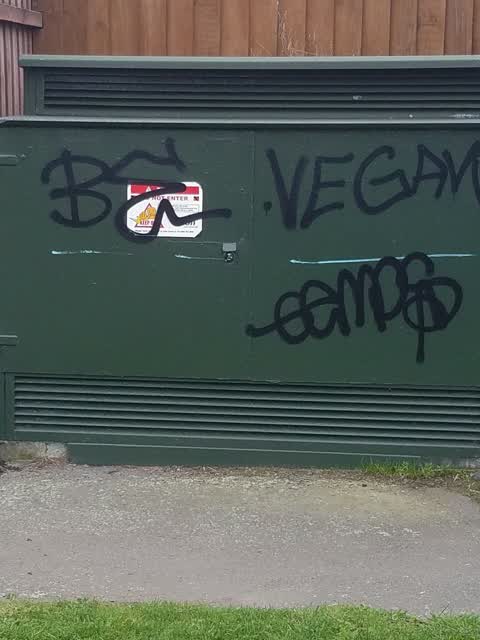 Graffiti, a report photo