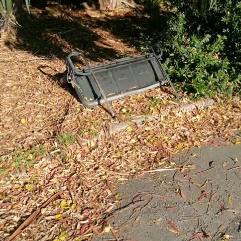 Rubbish/Recycling — a report photo