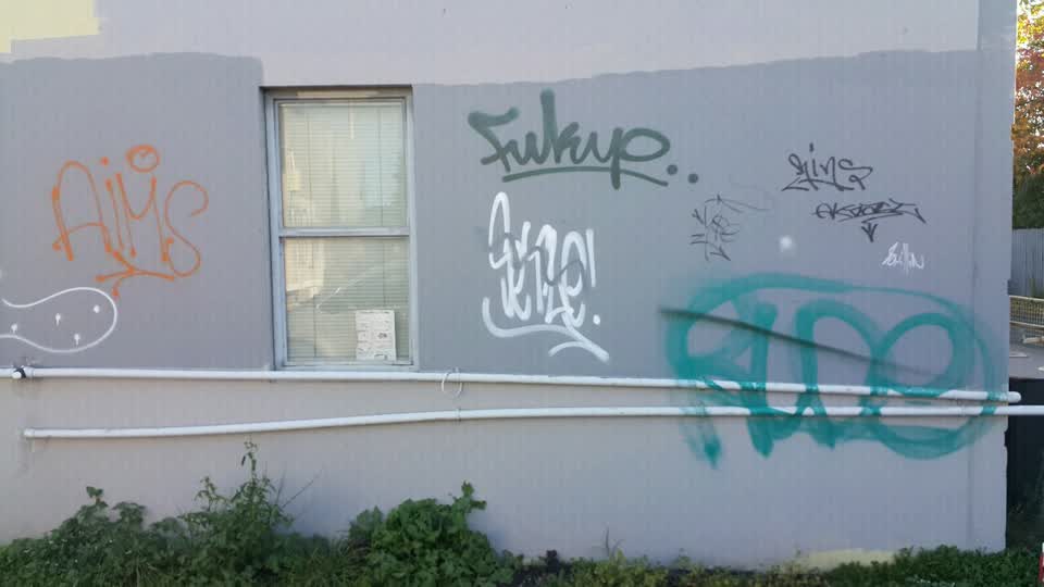 The photograph attached to this graffiti report