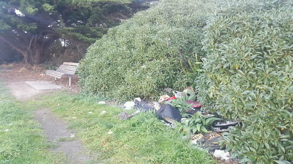 The photograph attached to this rubbish/recycling report
