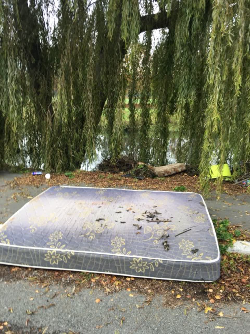 The photograph attached to this rubbish/recycling report