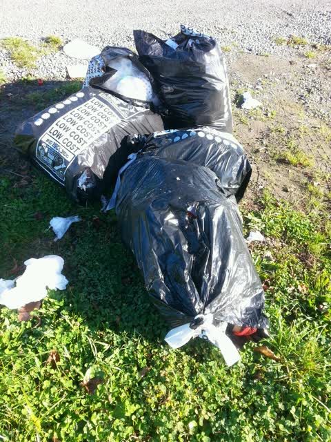 Rubbish/Recycling — a report photo