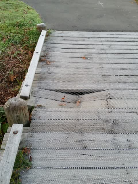 Roading/Streets, a report photo