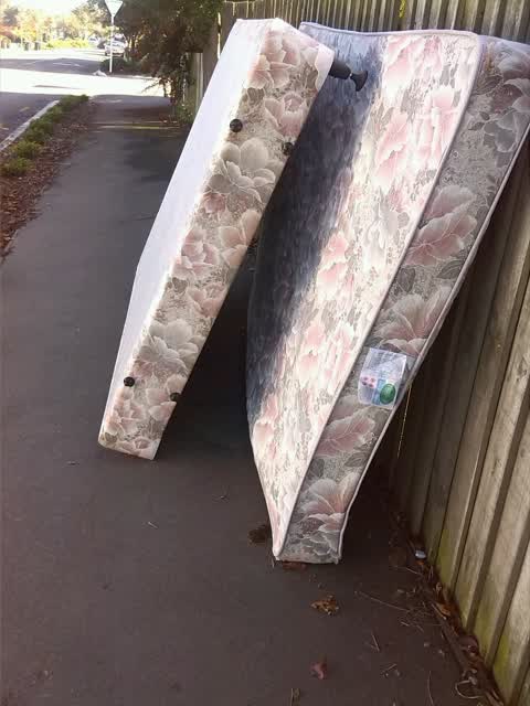 Rubbish/Recycling, a report photo