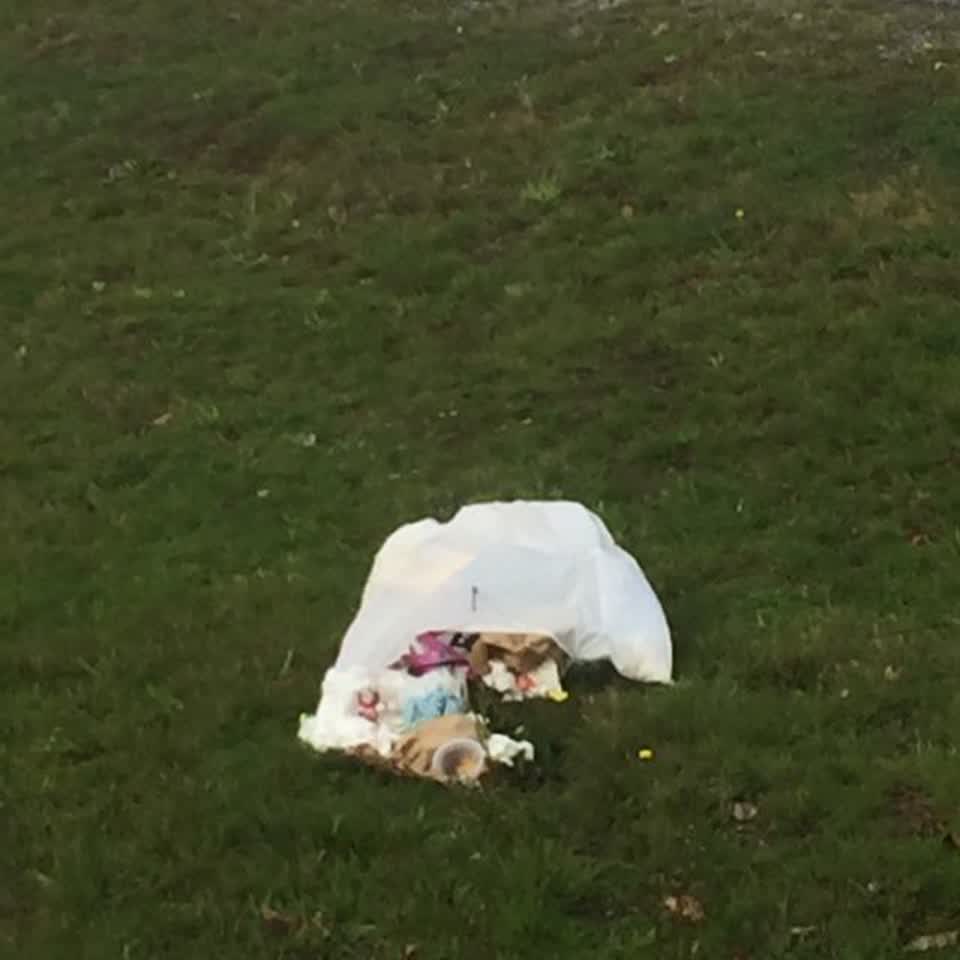 The photograph attached to this rubbish/recycling report
